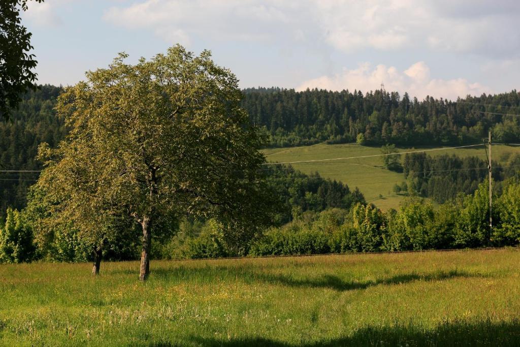 hotel rainhof scheune&naturpark restaurant  Kirchzarten Buitenkant foto
