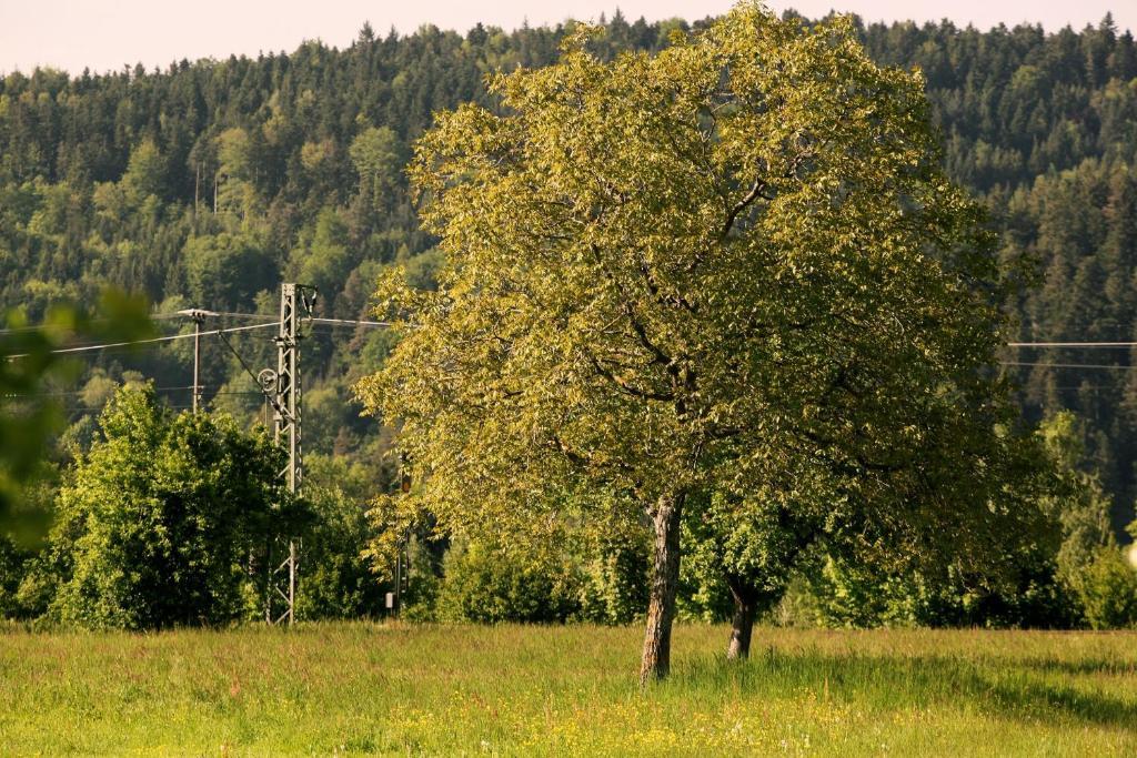 hotel rainhof scheune&naturpark restaurant  Kirchzarten Buitenkant foto